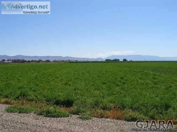 954 21 Rd Grand Junction Colo 81505