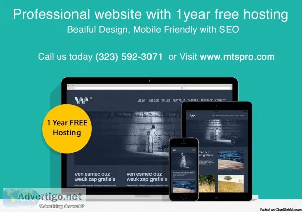 Professional  Affordable and Mobile friendly WEB design with 1 y
