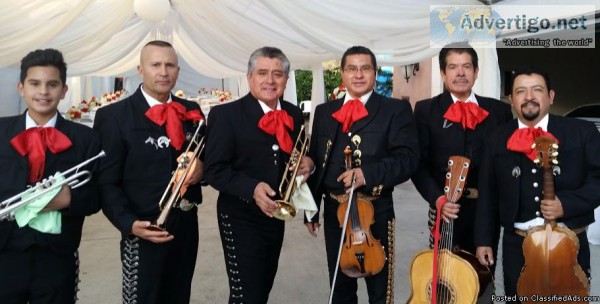 MARIACHI LOS GALLITOS