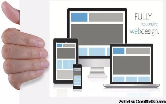 Dise&ntildeo Profesional De Paginas Web (Amigo Mobil) y Reparaci