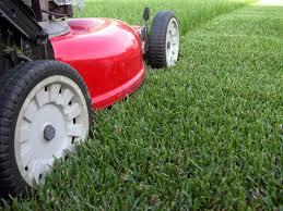 Gardening Services BILL S LAWN SERVICE