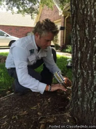 Arborist- RichmondTX- Affordable Prices