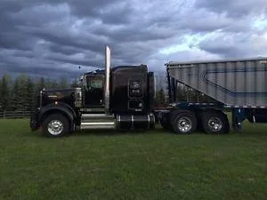 2010 Kenworth W900B