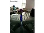 495 Two room for rent in Vancouver Area