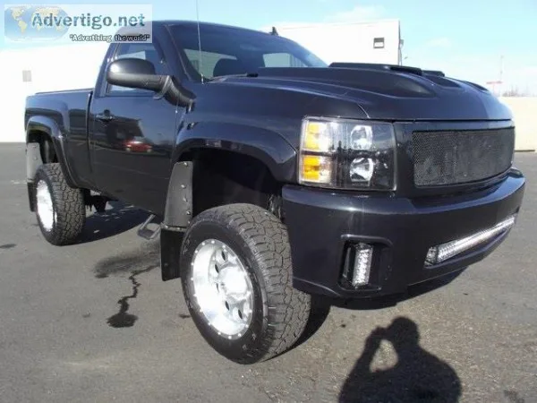 URGENT ON 72  San Bernardino - Female German Shepherd DogShepher