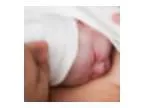 HypnoBirthing May Session