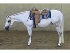 Supreme gelding Quarter Horse for sale
