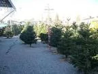 Commercial for Sale in Sun Valley Nevada