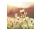 TGC Westside Annual Spring Retreat