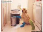 Carpet cleaning Milton Keynes ndash Well Shine