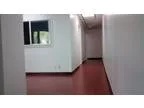 Stylish Office Tile Reception and New Wood Flooring.