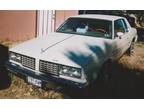 Oldsmobile Cutlass Cruiser 1980