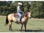 2012 Layton Joey 312