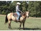 2012 Layton Joey 312