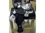 12 &quot Double T cordura youth saddle - camo