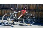 Mountain Bike serviced