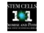 Stem Cells 101 The Promise and Potential - Hamilton