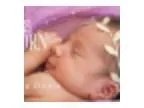 Blissborn Childbirth Hypnosis Education (5 week series)