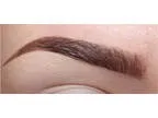 Eyebrow stylist