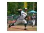 Green Bay Bullfrogs vs. Madison