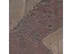 Foreclosure Land for sale in Kaufman TX