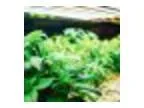 Hydroponics 101 - Happy Valley