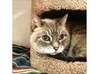 KITCHEN HELPER ( NOC 6641 )