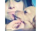 Active and Loving Pet Care Provider