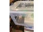 honda v65 magna - Price: 2175.00