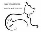 Adopt Moses a Shepherd Shepherd