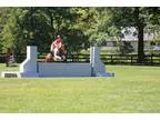 APHA brave and athletic jumper for sale