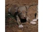 Express Financial Group Inc