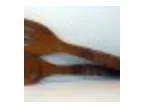 Woodworking Make a Wooden Spoon and Fork