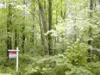 Looking for a Wooded Home Site