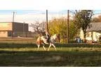 APHA registered