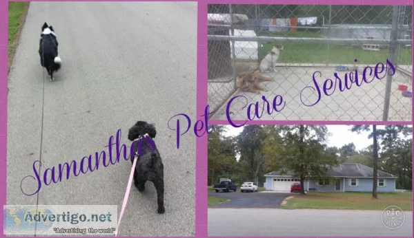 AVAILABLE NOW15Night In-Home Dog BoardingResponsible Pet Sitter