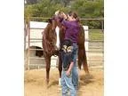 Beautiful Palomino Mare for adoption