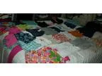 43 piezas talla 2t y 3t
