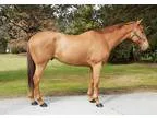 JANITORIALCUSTODIAL TEAM MEMBERS FOR TOYOTA PLANT (1ST 2ND 3RD S