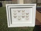 Butterfly wall frame.