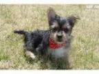Scout..Perfect Friend..Watch My VIDEO
