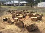 FREE Fire Wood and Mulch 5-7 Lum road Wheelers Hill