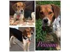 135 1 bedroom in Delaware County