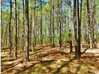 33.19 acres of land for sale in McIntyre Georgia United States