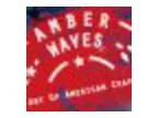 Amber Waves Art of the American Craft Beer