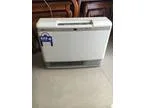 Like New Rinnai Natural Gas Heater Quick Sale