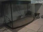 Fish Tank Sale
