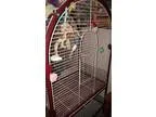 5 ft. Small Bird Cage with Shelf
