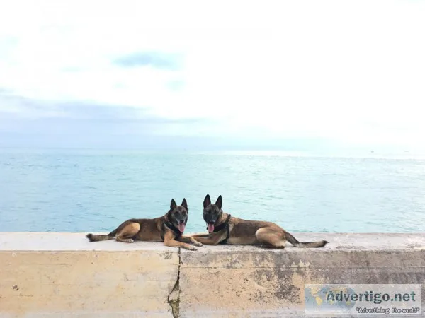 Ni&ntildeera