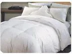 Naples 700 TC Hotel Grand HWGD Comforter